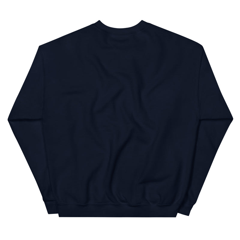 The back of a blue sweatshirt
